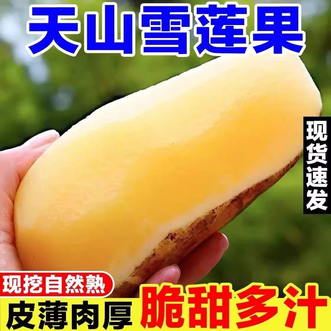 云南天山雪莲果新鲜当季水果清甜脆爽