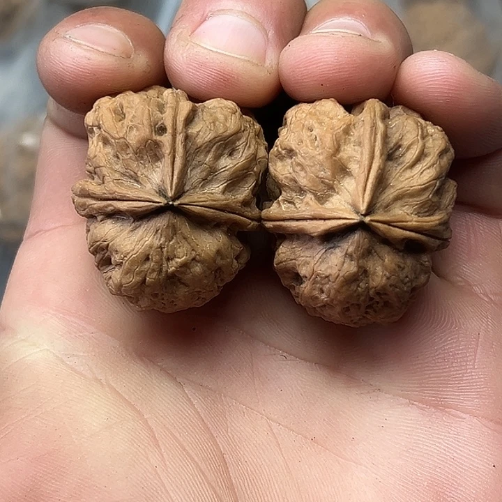 把件文玩核桃33号手捻三楞33尺