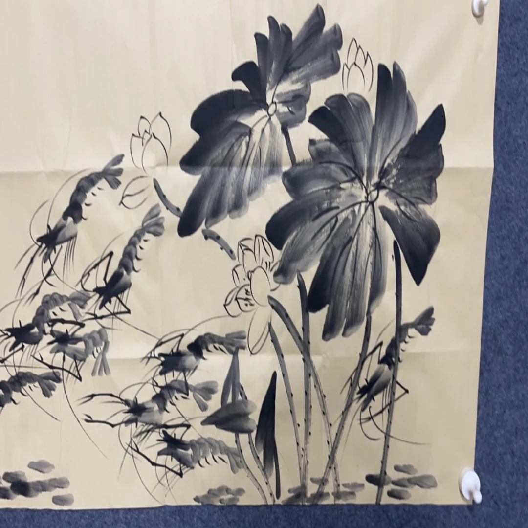 玖玖画院。 三尺。虾