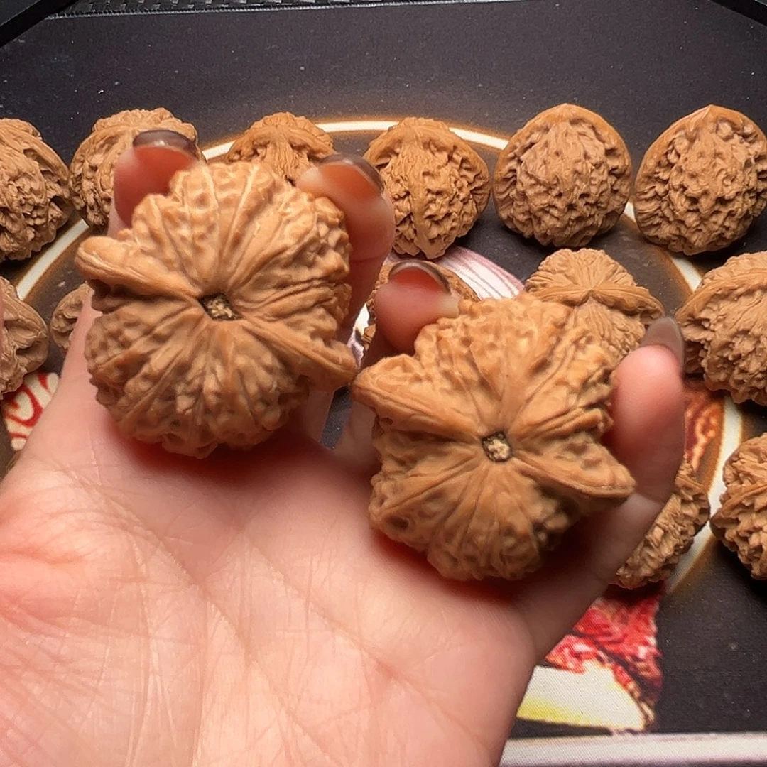 再***烟核桃38尺寸血麒麟