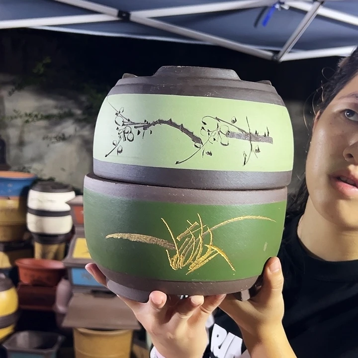 21苹果绿萝+21描金球盆