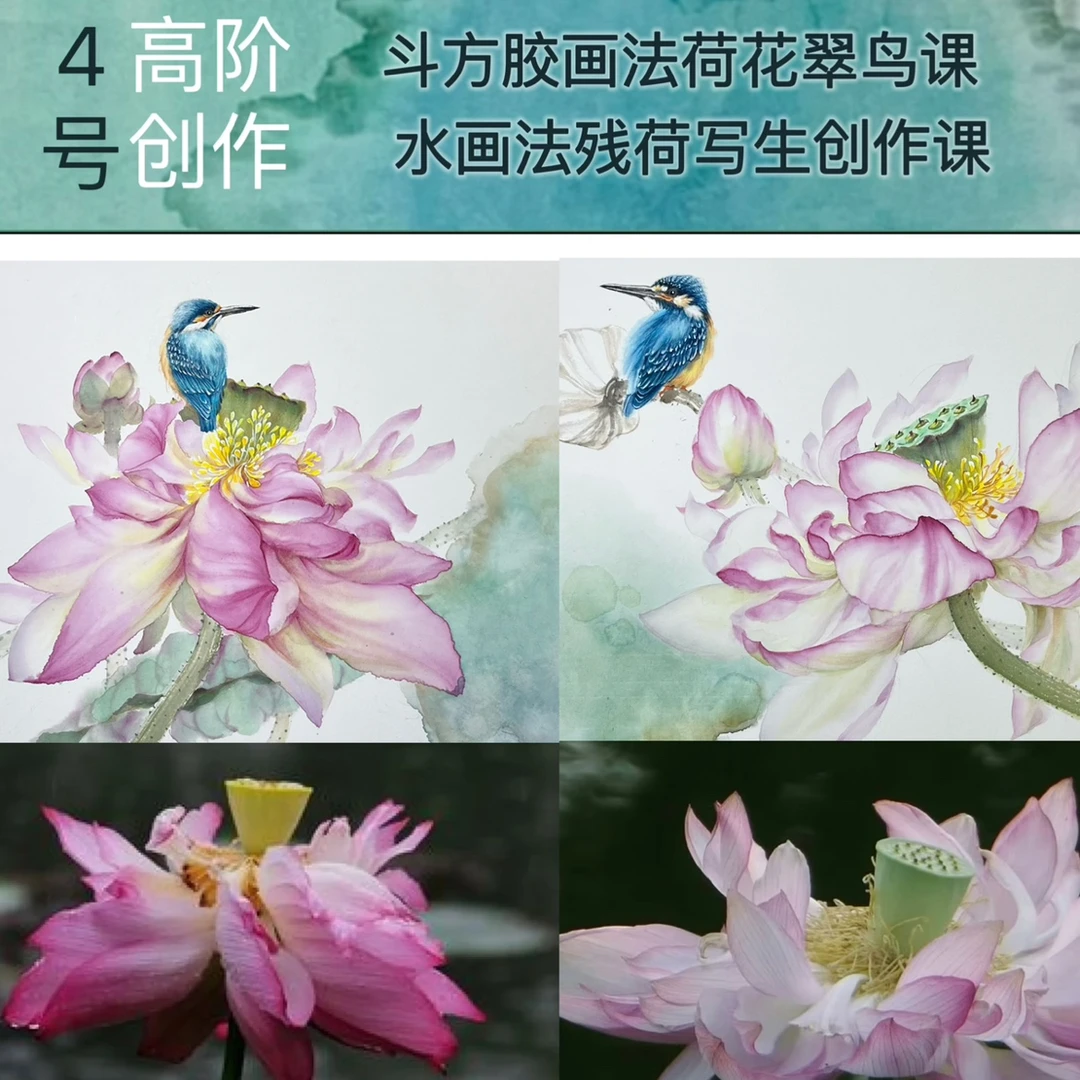 4号小写意国画斗方荷花高阶课程