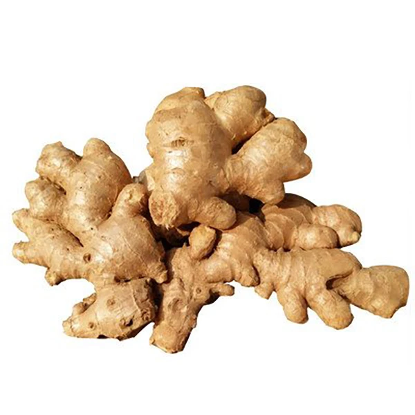 精品老姜【约250g】