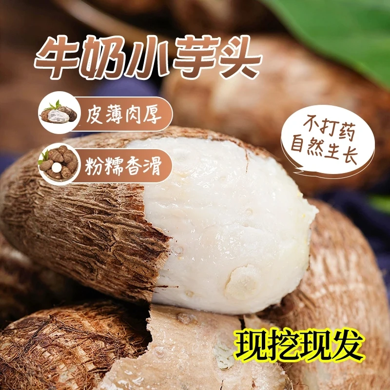 新鲜湖南牛奶芋头香芋毛芋软糯芋仔农家芋头自种毛芋应季蔬菜整箱