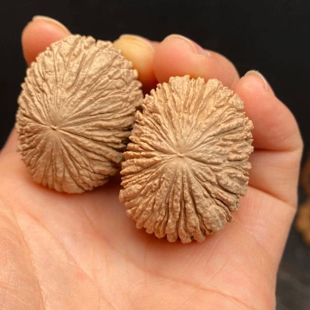 文玩核桃大尺寸野生猴头手把件精品野生手串把玩核桃猴头手上乾坤