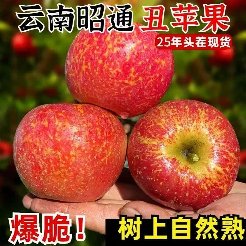 正宗云南昭通丑苹果新鲜应季水果红富士整箱小苹果2-5斤