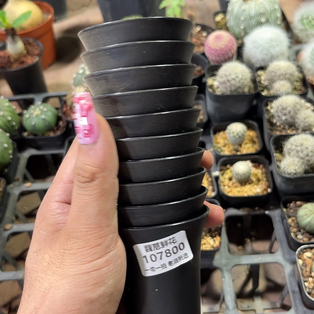 脉***女107800一物一拍单头发货