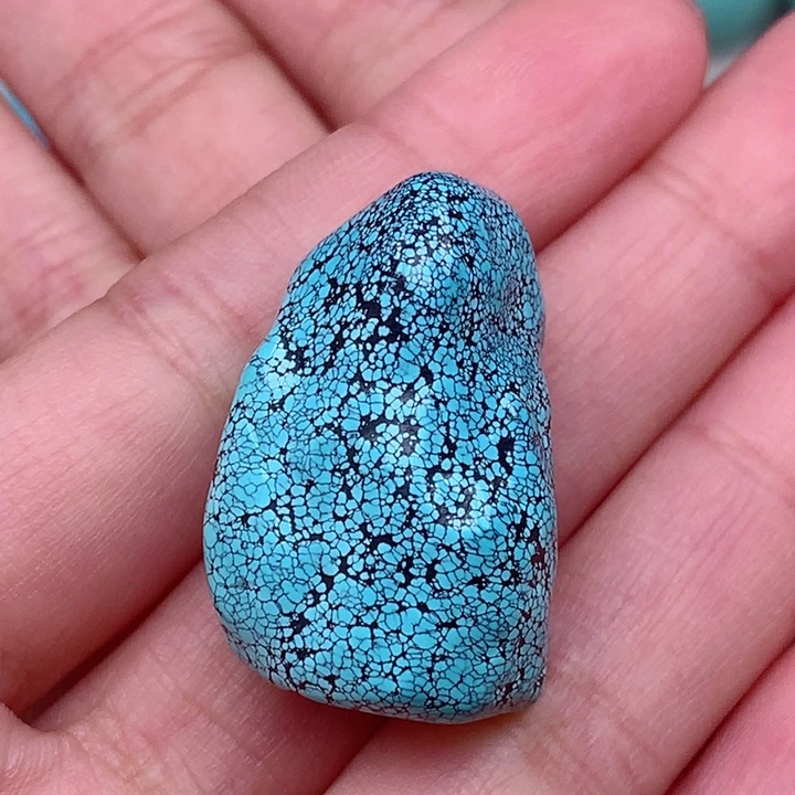 绿松石颈饰未镶嵌