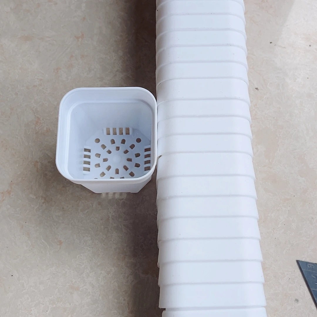 塑料福利款6.4白方盆30个无托