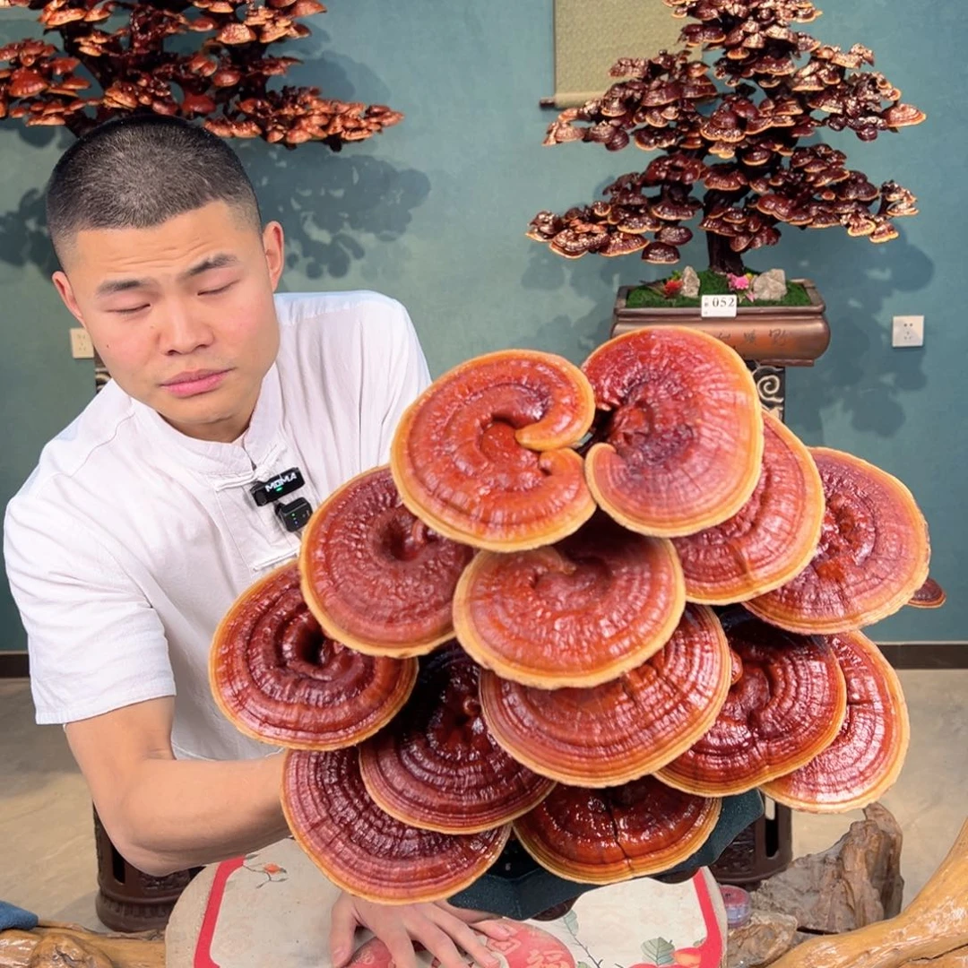 无花朵88855888888