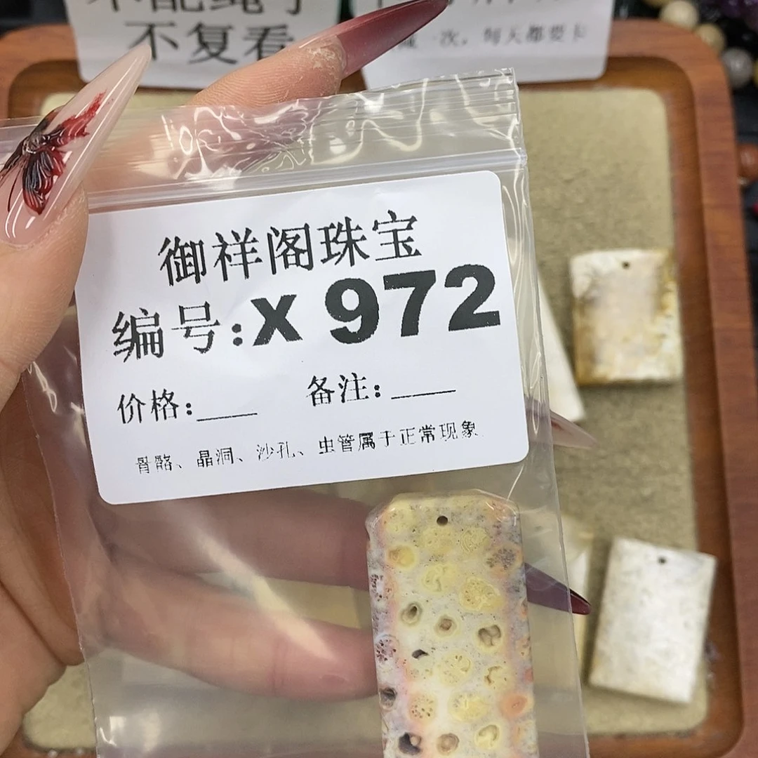 硅化珊瑚（珊瑚玉）颈饰未镶嵌耳*