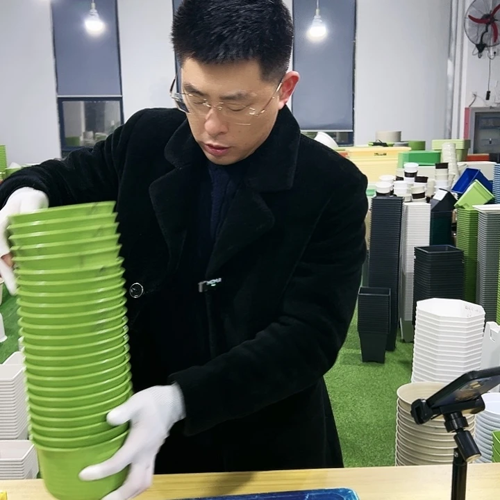 微瑕矮陶口15高11果绿10只无托