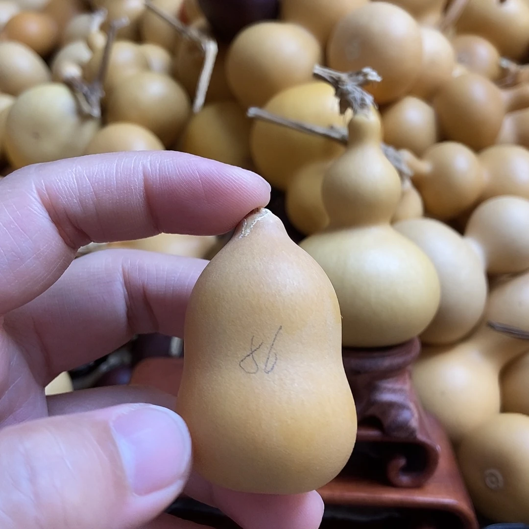 文玩葫芦 完美主义者 慎拍86