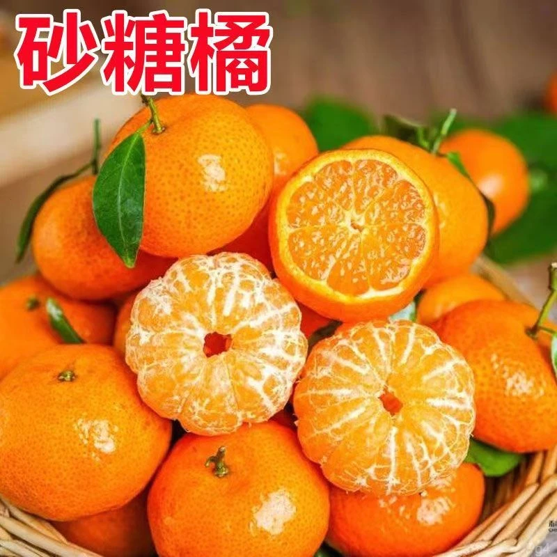 正宗广西砂糖橘不抛光不打蜡自然成熟健康香甜可口