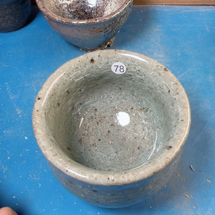 茶宠盏盏灯都是我的爱啊我