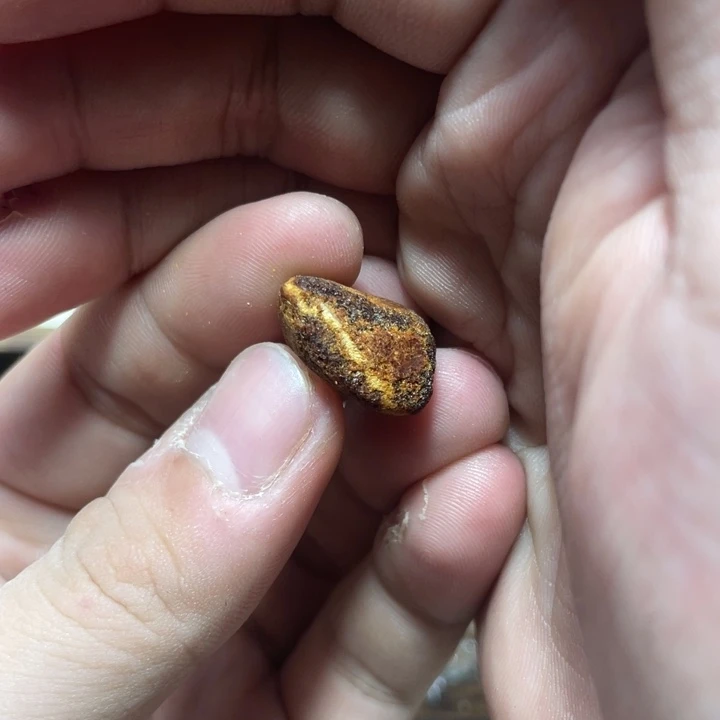 定制琥珀天然原矿