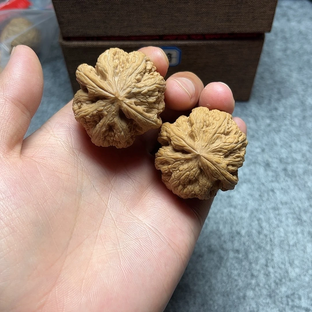 4号链接大粗筋八筋集顶