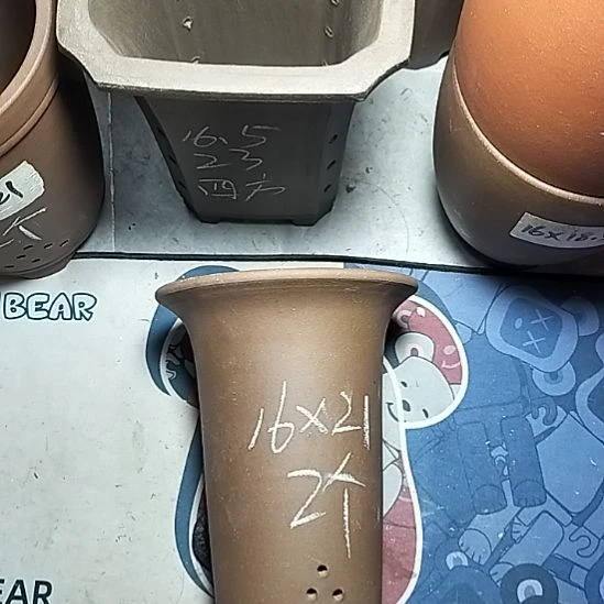 小红兰花两个微瑕