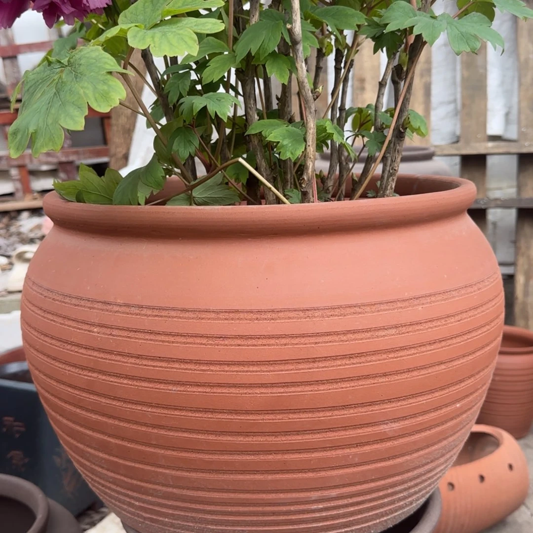 紫砂花盆口40高30宜兴紫砂