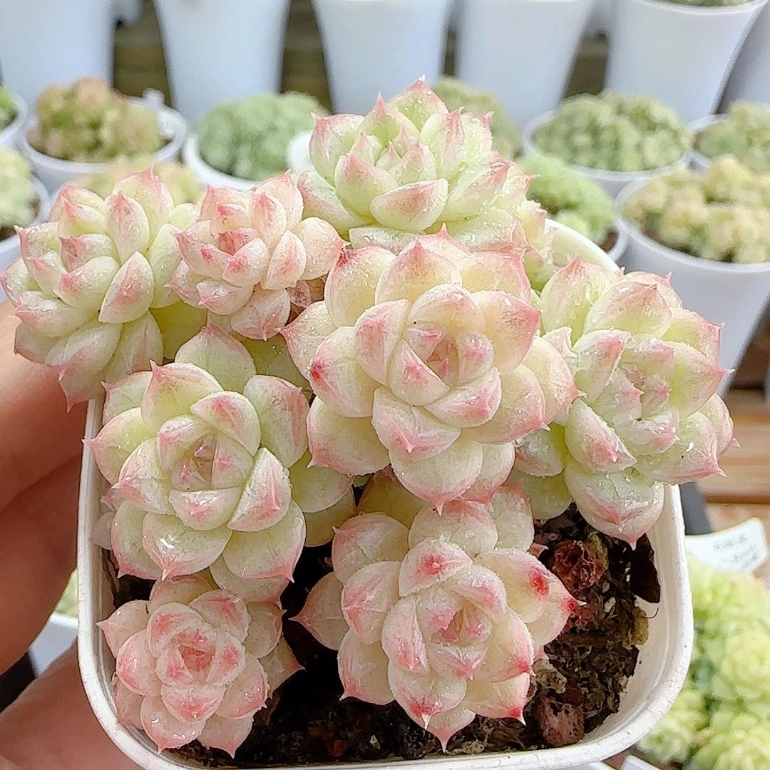 1106-14（ppt-36）优选