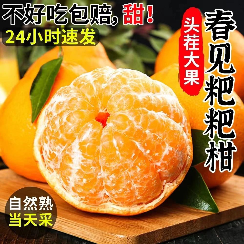 四川春见耙耙柑粑粑柑杷杷柑正宗水果新鲜不知当季丑桔橘10斤装火