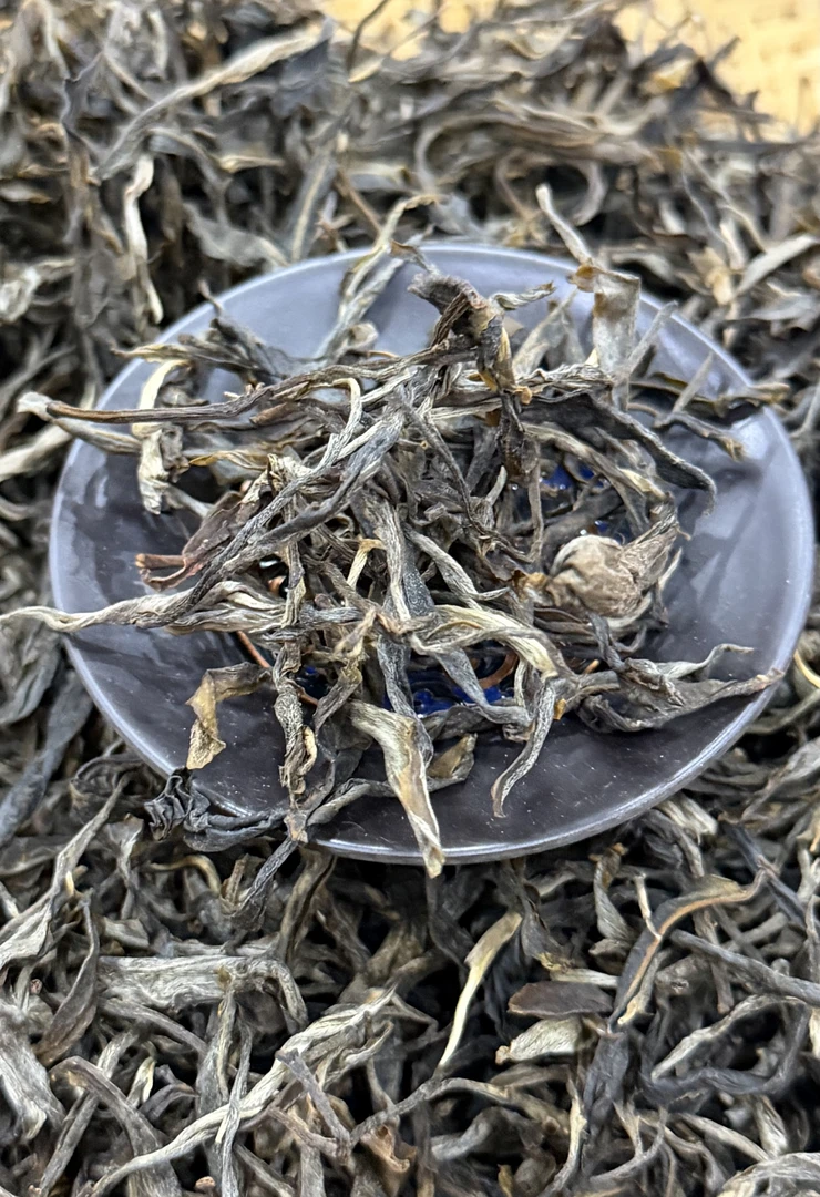 2025年白莺山头春头采生茶散茶