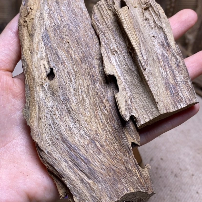 【闪购商品】香榧木海南41克