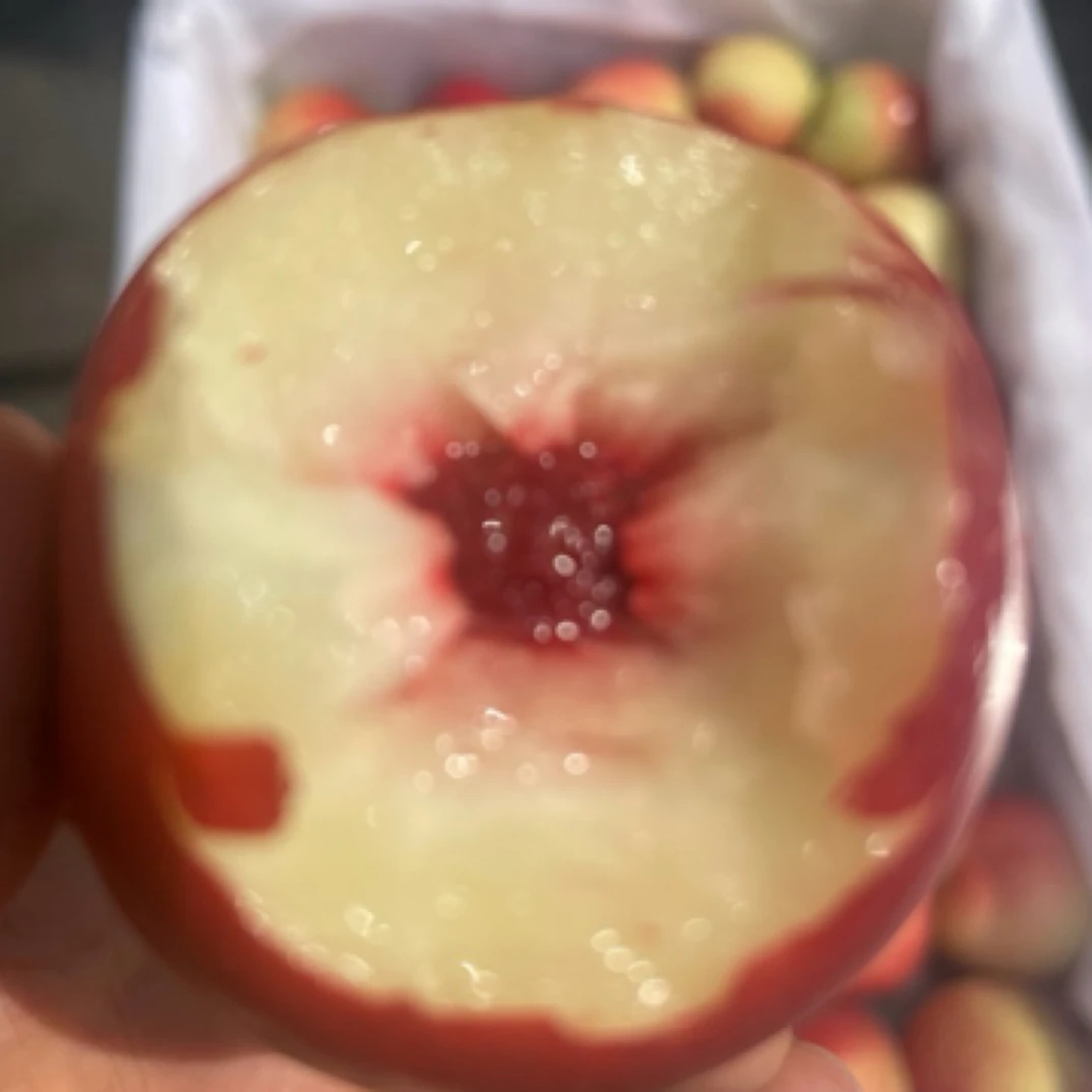 新疆珍珠毛枣桃（一斤。满38可送货吉林省