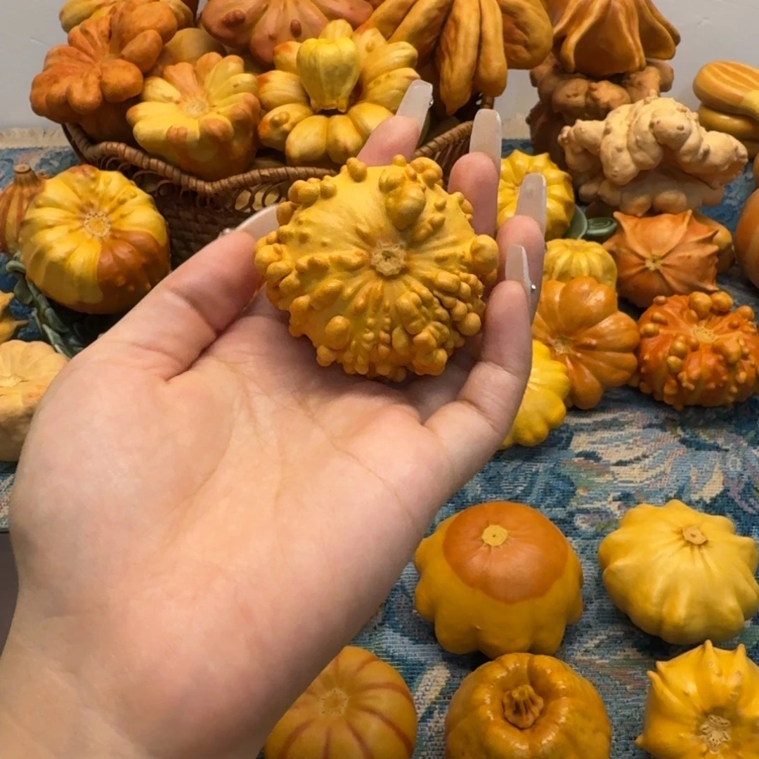 黑线点疙瘩墨西哥