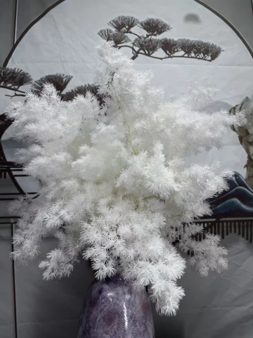 花园时光100~120克永生花蓬莱松梦幻手工白日焰火永生花材料包