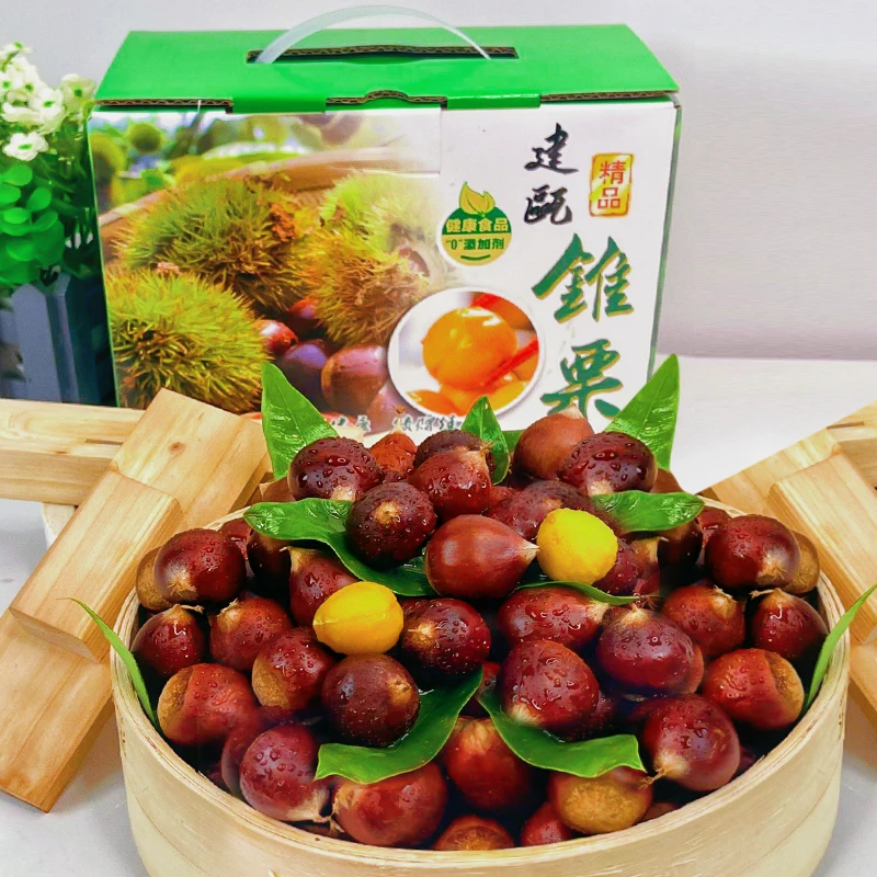 【送礼佳品】建瓯圆锥栗礼盒5斤装