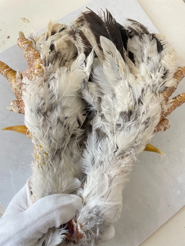 鸡爪骨手把件婆罗门黄蹬一对（五天后成品发货）