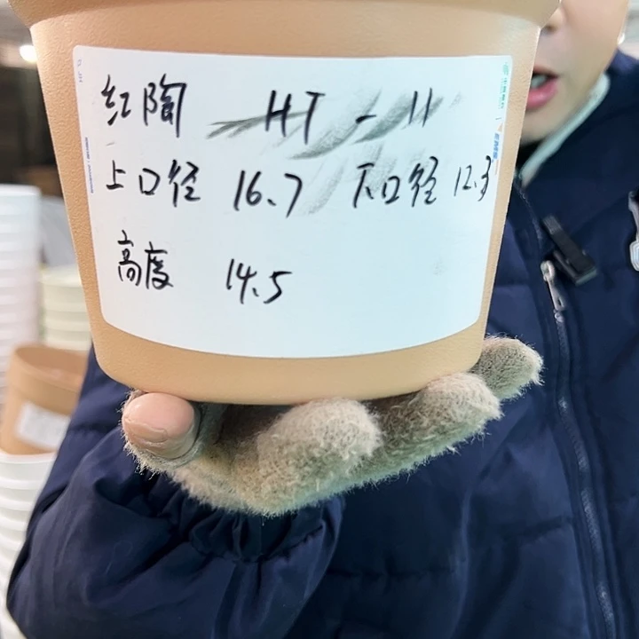 正品红陶口16高14白色6个无托