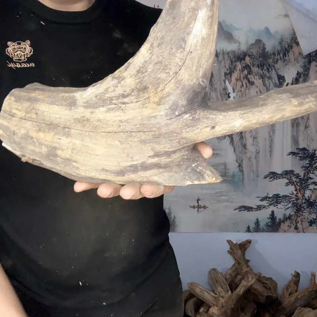 陶瓷?太行崖柏摆件