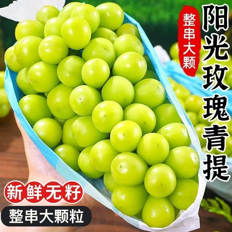 【顺丰】山西阳光玫瑰青提葡萄爆甜应季新鲜水果晴王葡萄4.5斤12g起