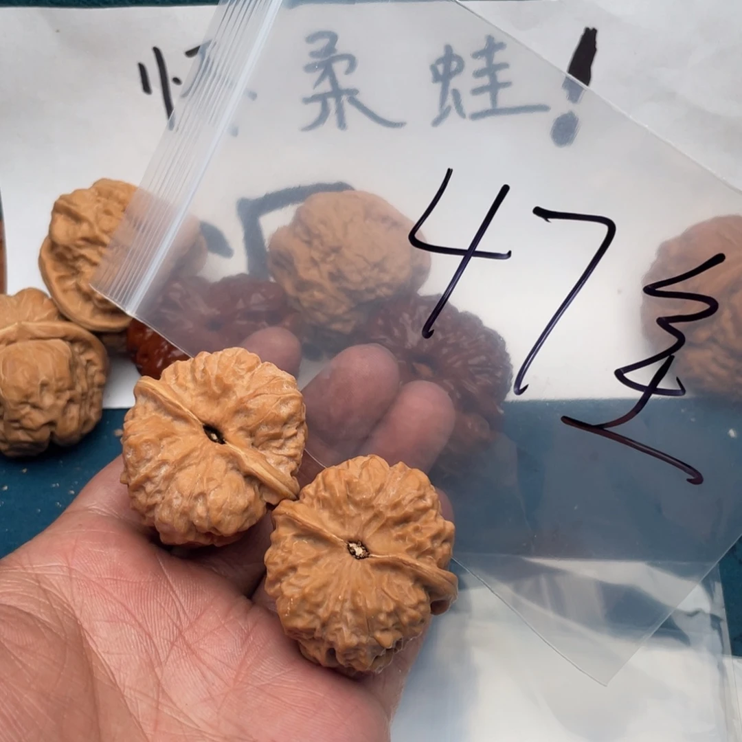 核桃5375753537753573753