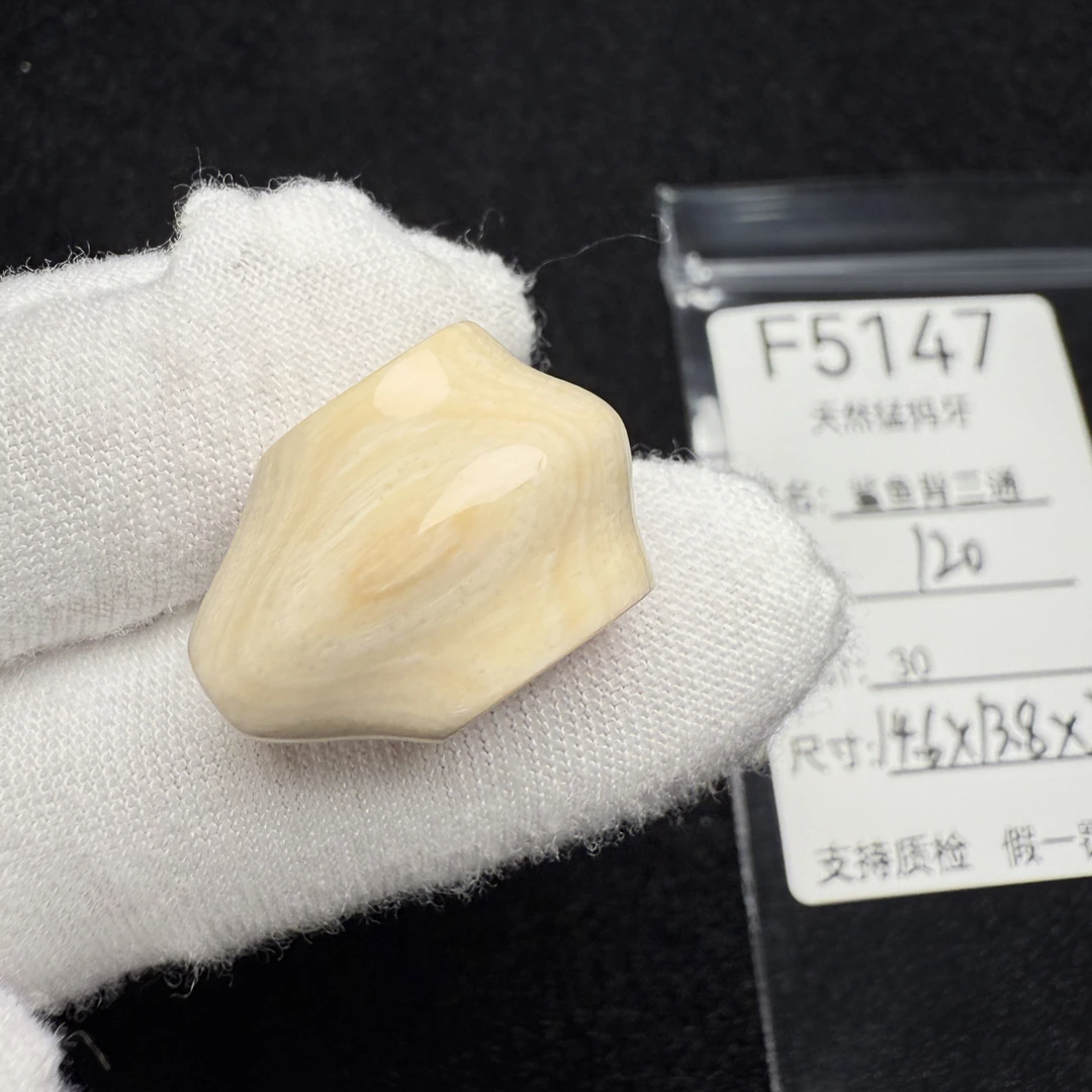 F5147猛犸象牙鲨鱼背一体三通冰料果冻料14.6*13.8*21mm