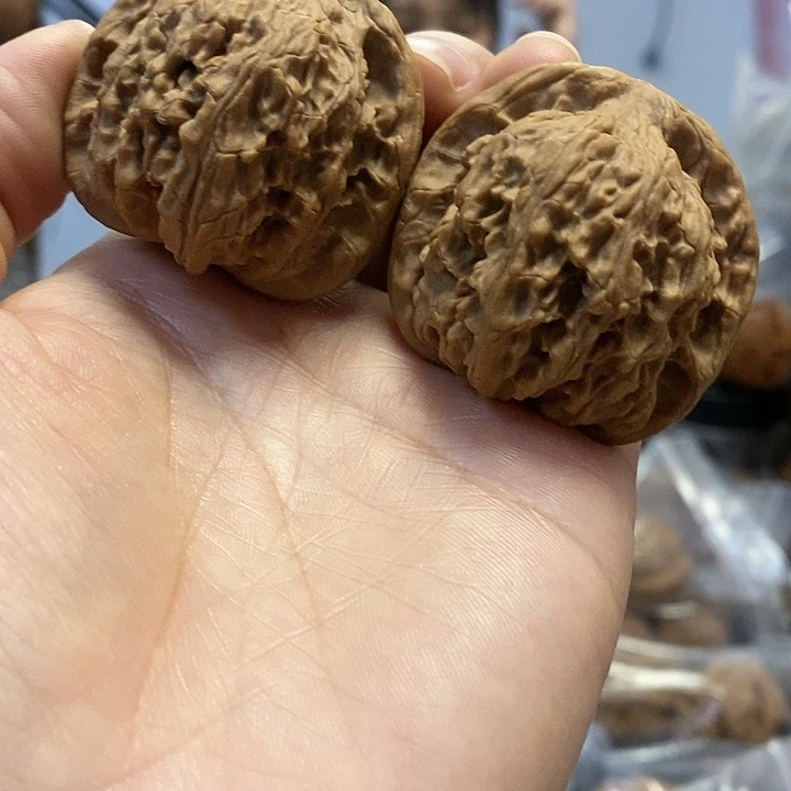 文玩核桃把件42红狮子小众