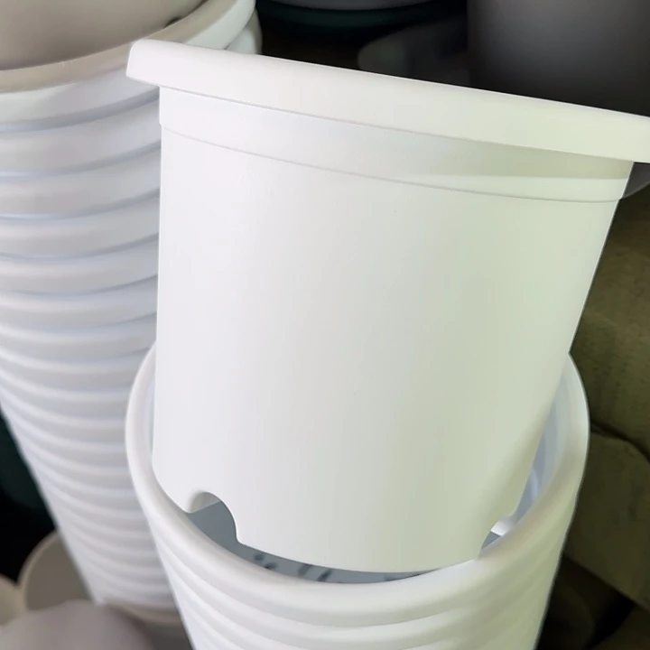 四季3号纯白带托10套特价微瑕