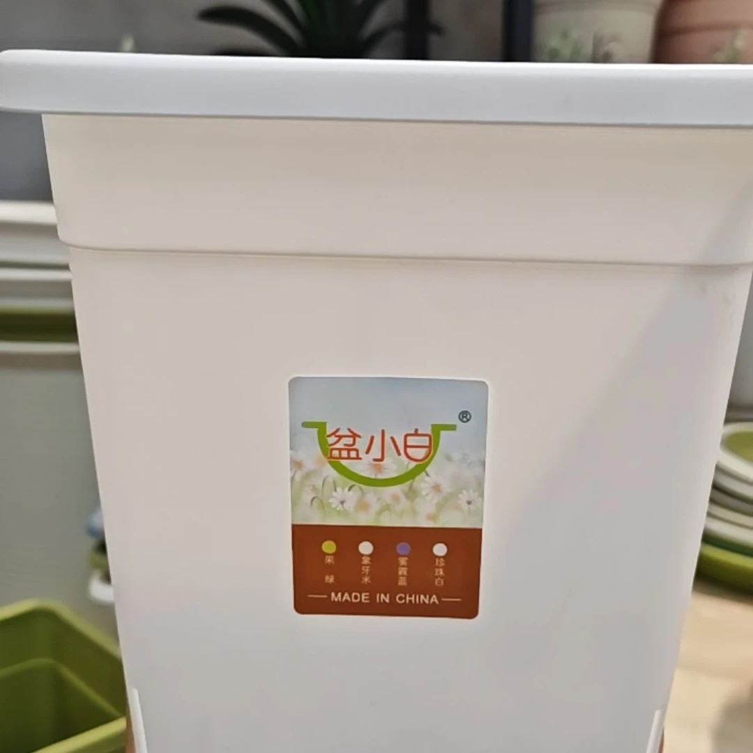 控根方盆外口径16，白色无拖五个