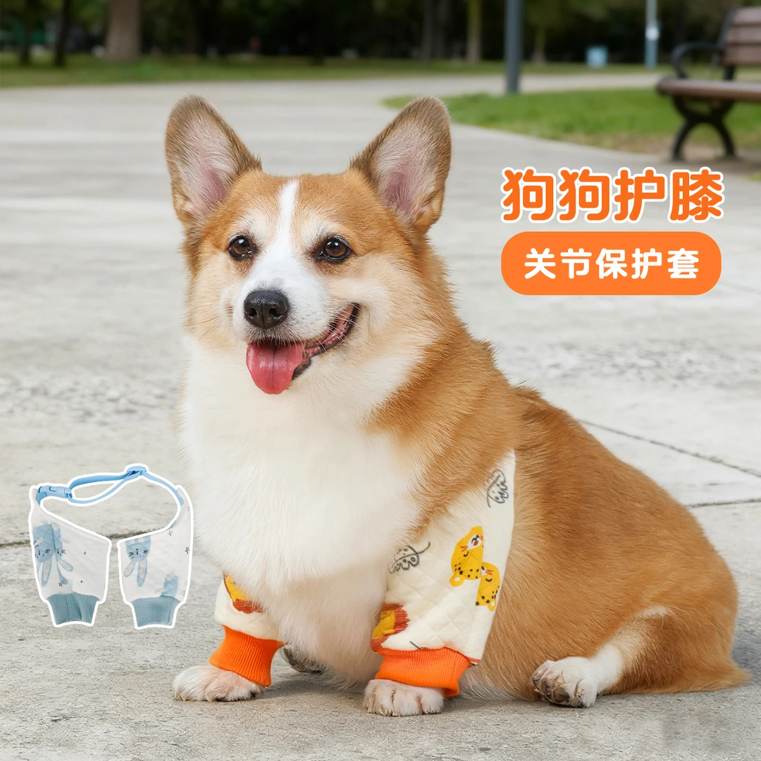 狗狗护肘衣宠物关节套小型犬防脏腿套小狗护膝袖套柯基关节保护套