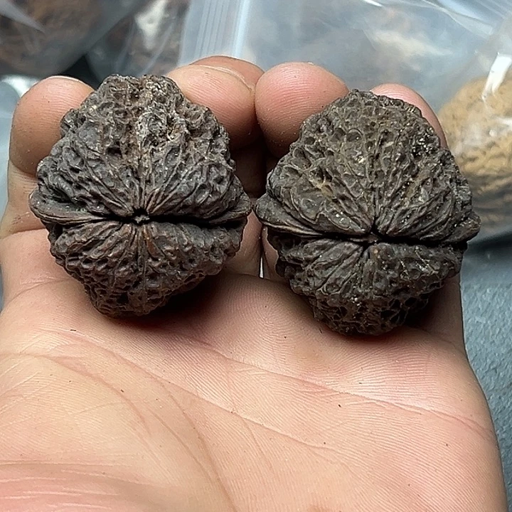 核桃69号美人唇42尺
