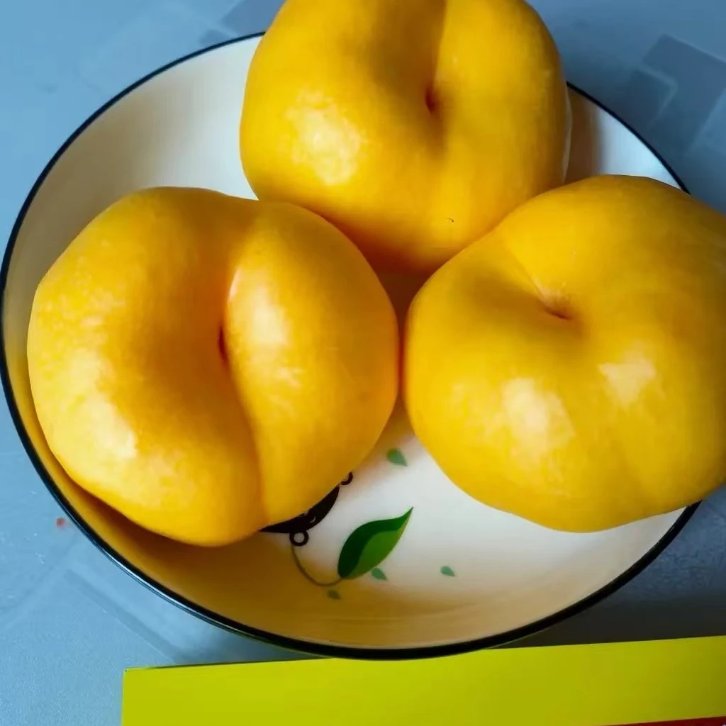 中油蟠味帝  八月上旬成熟 12月份发苗