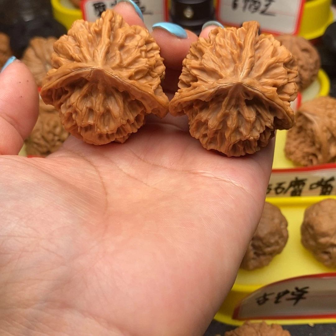 愿***.菩提籽类三棱帝王