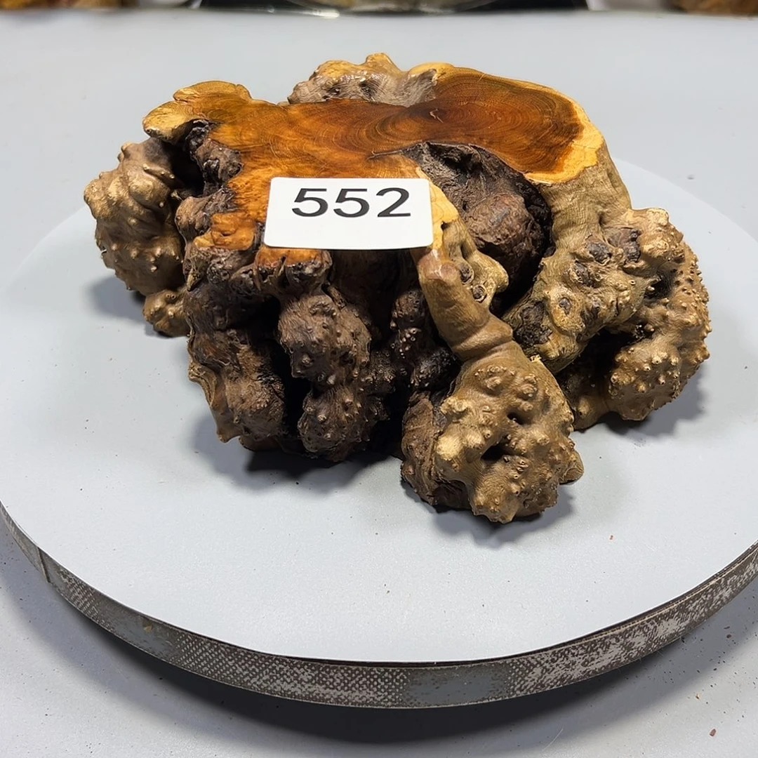 大果紫檀（缅甸花梨）漫**步