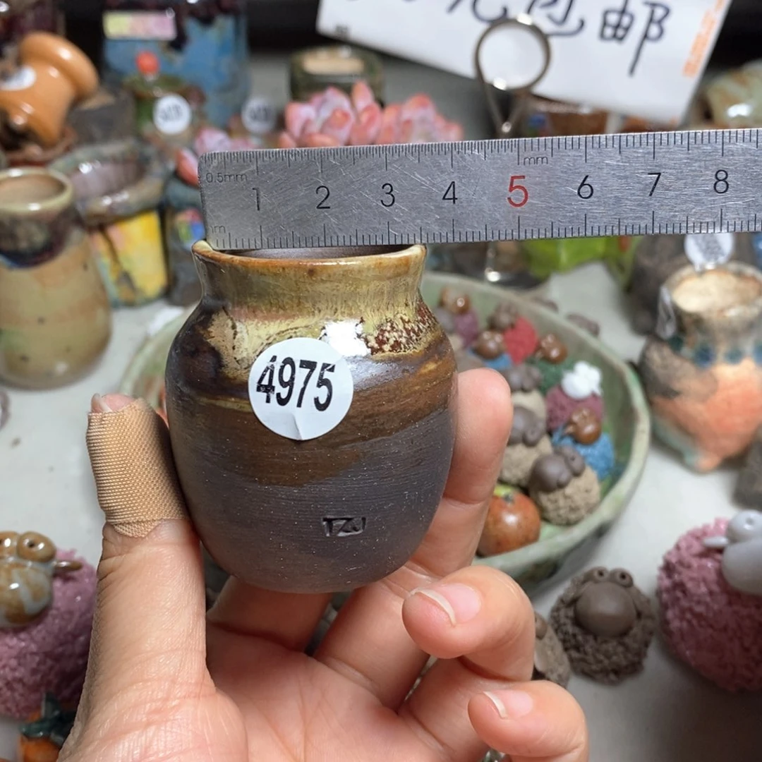 拍5送一个小礼物