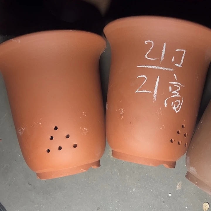 周深周深周深周深