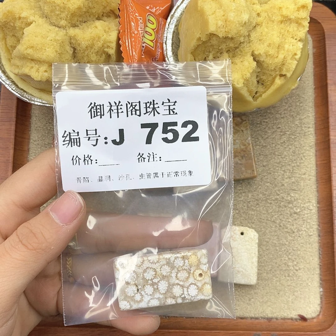 硅化珊瑚（珊瑚玉）颈饰未镶嵌一**?