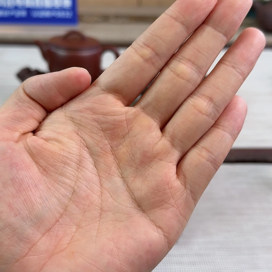 紫砂茶壶M****业顺丰快递差价 明天发货