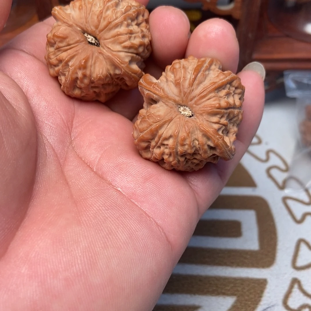 大叶紫檀（黑酸枝木类）